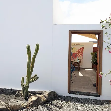 Casa Cocoon, Sun&freedom, 8 Mn From Beaches, Internet Fiber 아파트 라하레스